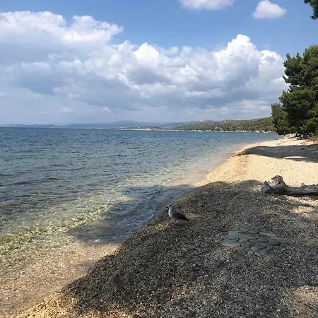 Eco Electra * Nikiti (Sithonia)