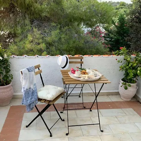 Eco Electra * نيكيتي