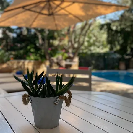 Eco Electra * Nikiti (Sithonia)